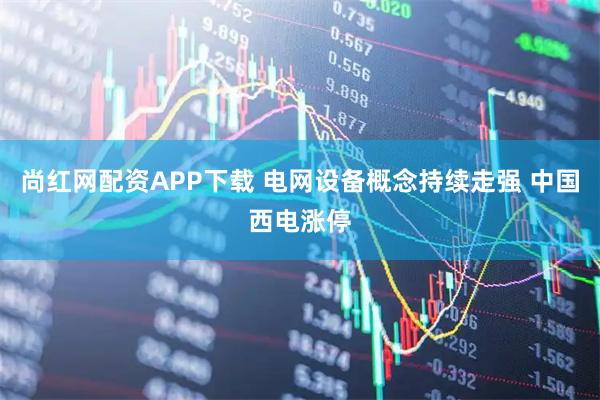 尚红网配资APP下载 电网设备概念持续走强 中国西电涨停
