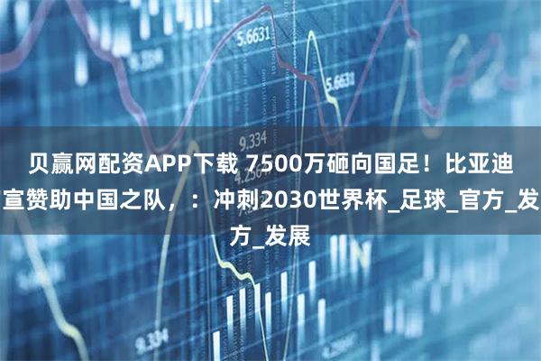 贝赢网配资APP下载 7500万砸向国足！比亚迪官宣赞助中国之队，：冲刺2030世界杯_足球_官方_发展
