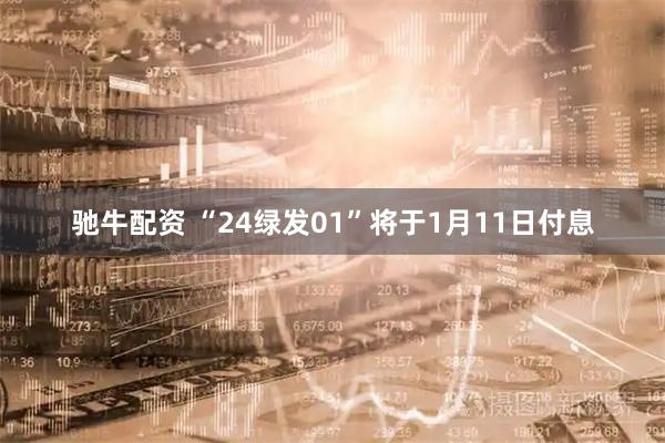 驰牛配资 “24绿发01”将于1月11日付息