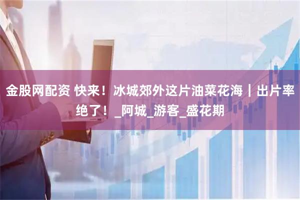 金股网配资 快来！冰城郊外这片油菜花海｜出片率绝了！_阿城_游客_盛花期