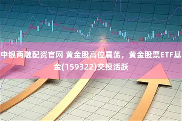 中银两融配资官网 黄金股高位震荡，黄金股票ETF基金(159322)交投活跃