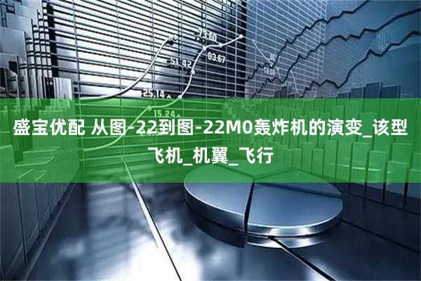盛宝优配 从图-22到图-22M0轰炸机的演变_该型飞机_机翼_飞行