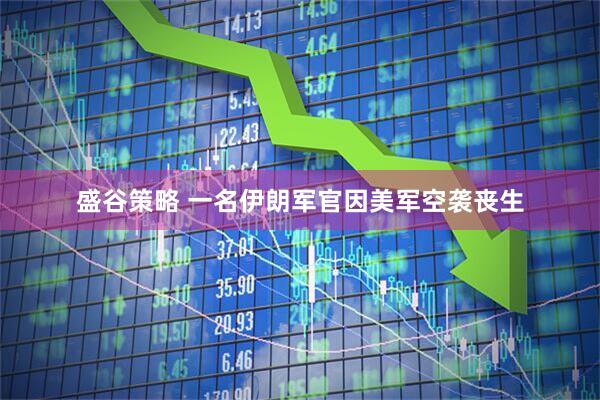 盛谷策略 一名伊朗军官因美军空袭丧生